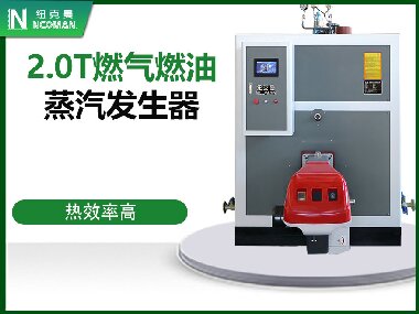 2.0T燃?xì)馊加驼羝l(fā)生器