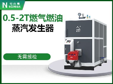 0.5-2T燃?xì)馊加驼羝l(fā)生器