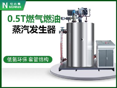 0.5T燃?xì)馊加驼羝l(fā)生器